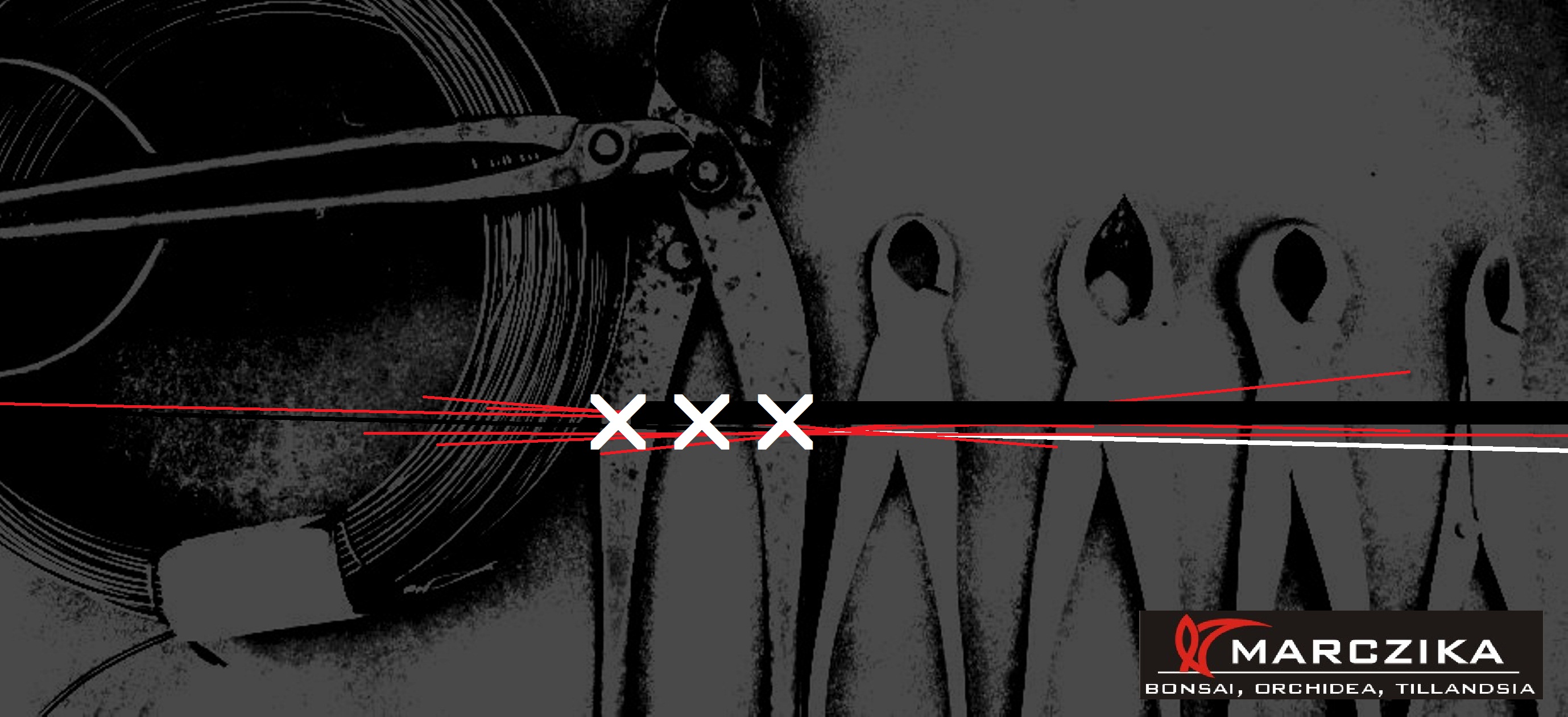 bonsai szerszámok, bonsai átültetés, bonsai alakítás, A bonsai szerszámok, mint a bonsai átültetés és a bonsai alakítás eszközei.